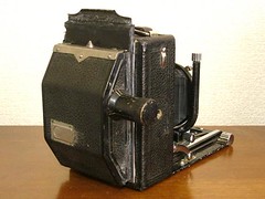 Lily (metal and tropical) - Camera-wiki.org - The free camera