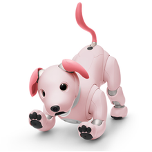 レンタル] ソニー エンタテインメントロボット aibo アイボリー