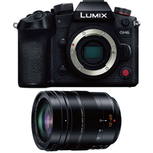 レンタル] パナソニック LEICA DG VARIO-ELMARIT 12-60mm/F2.8-4.0