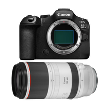 レンタル] CANON EOS 90D とシグマの超望遠ズームレンズ(150-600mm