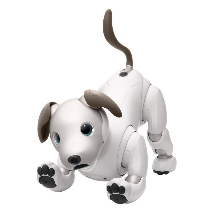 レンタル] ソニー エンタテインメントロボット aibo アイボリー