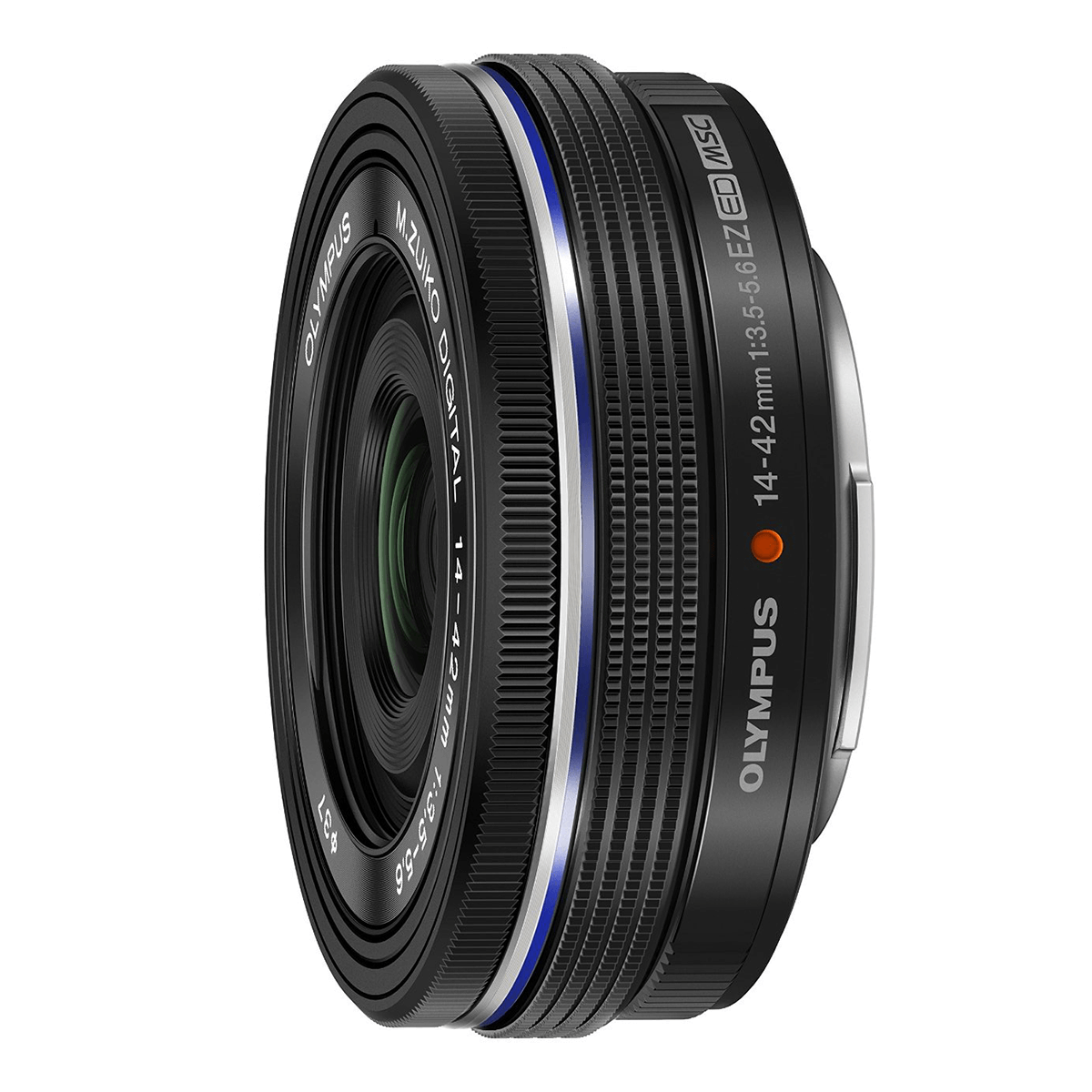 t1v7q7o36l3ycjwovttl7gwkrj56