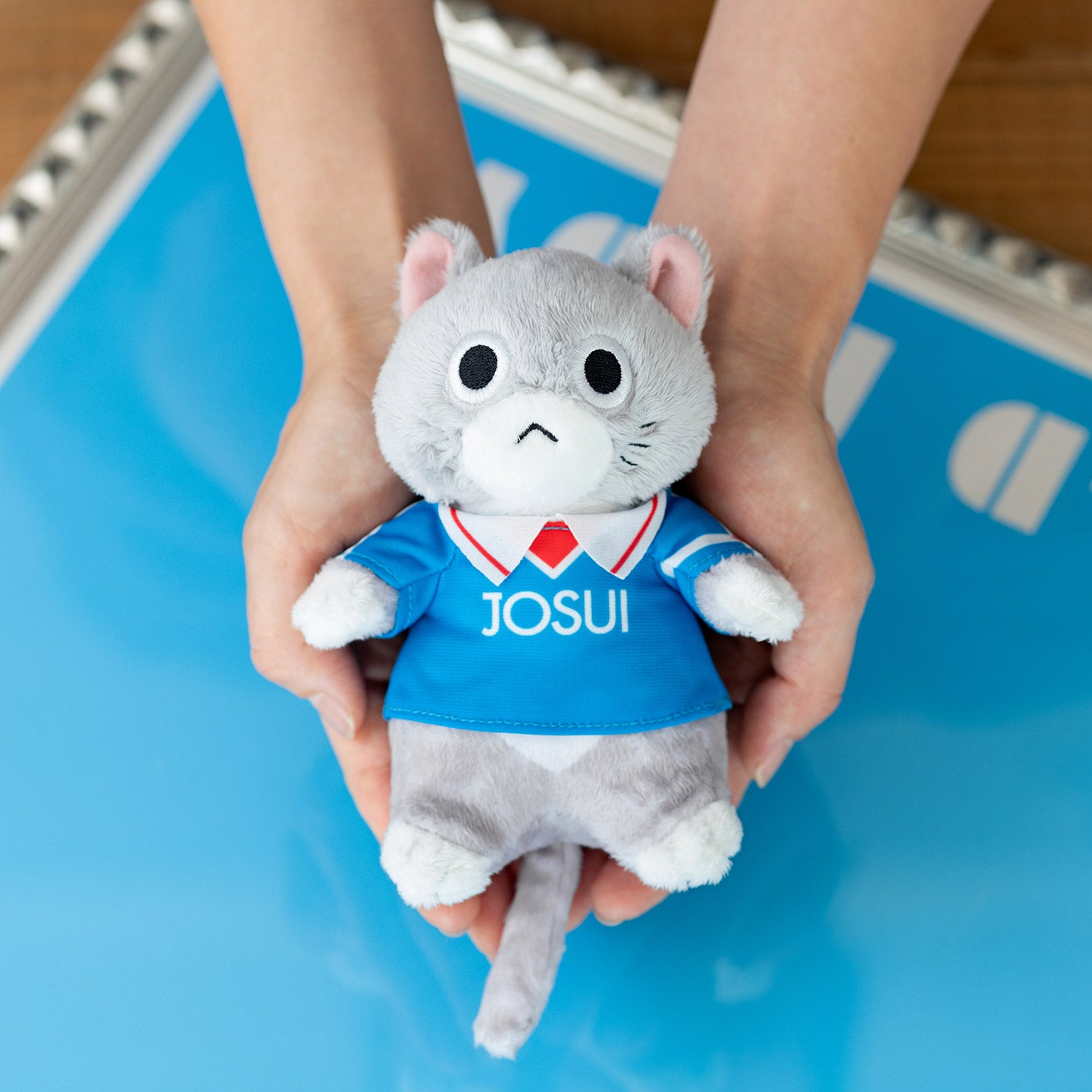 ホイッスル！ふえねこ【桜上水ユニ】（ちびねこミニアクスタ付き