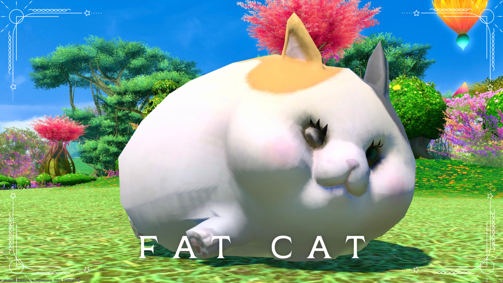 コロコロ転がる可愛い大きな子猫のミニオン『ファットキャット