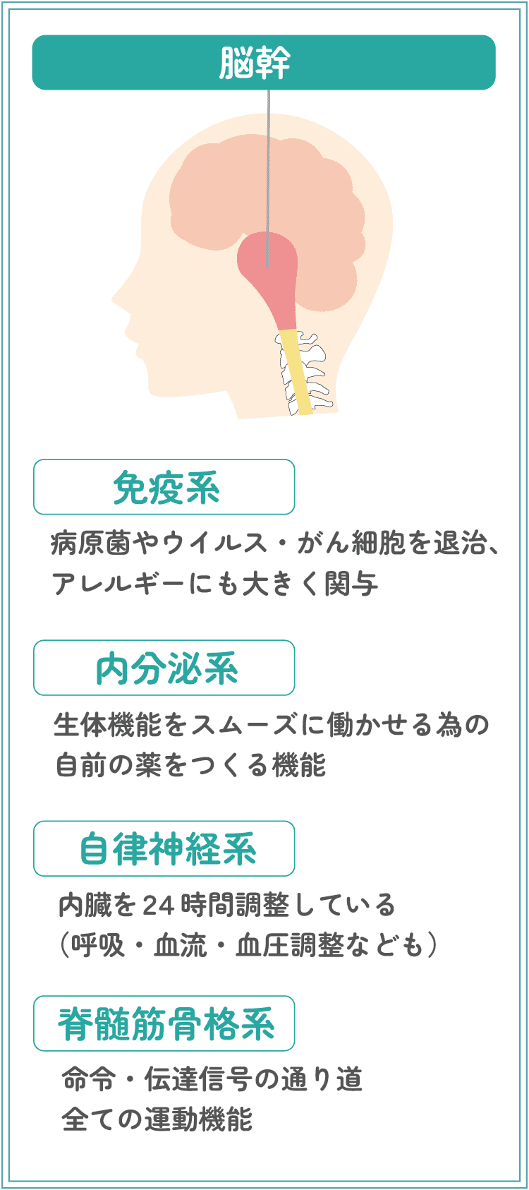 公式】FMT整体 頭痛解消まくら｜頭痛・肩こり・首こり・自律神経不調の改善
