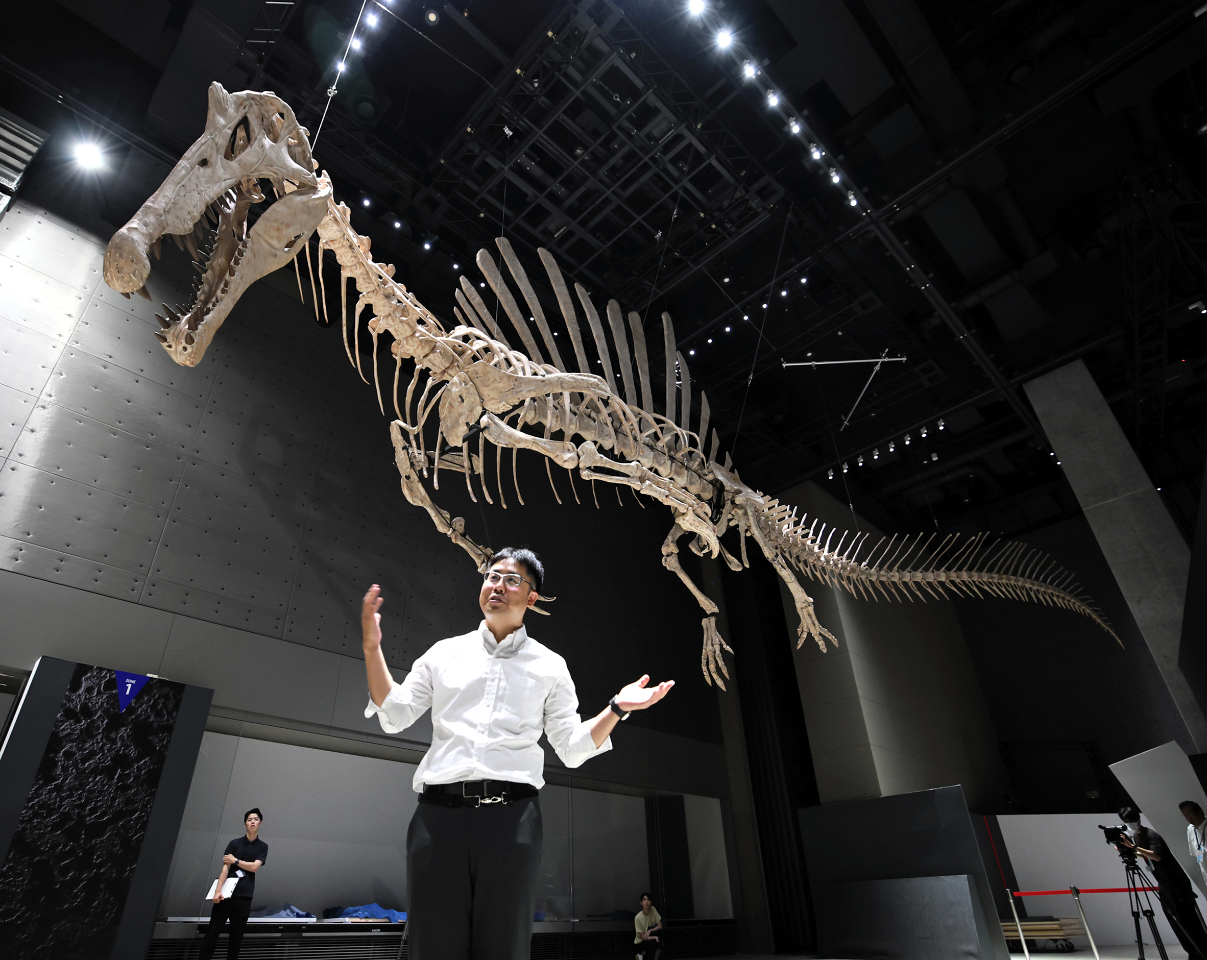 大型肉食恐竜の全身骨格つり上げ展示 スピノサウルス 福井県立恐竜