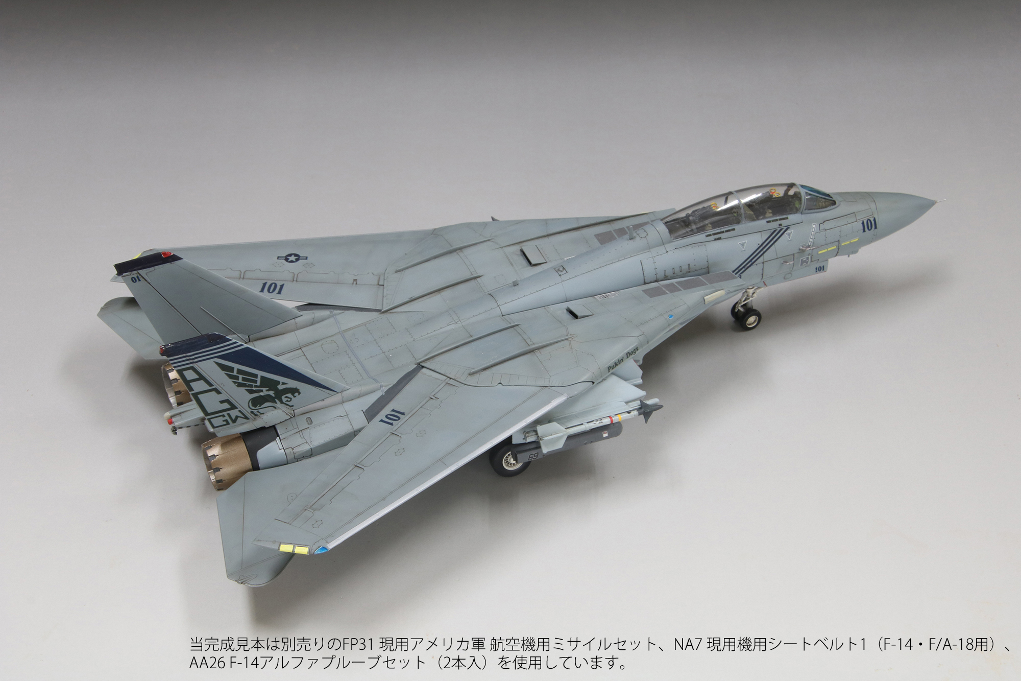 1/72アメリカ海軍F-14Bトムキャット“ピューキンドッグス”