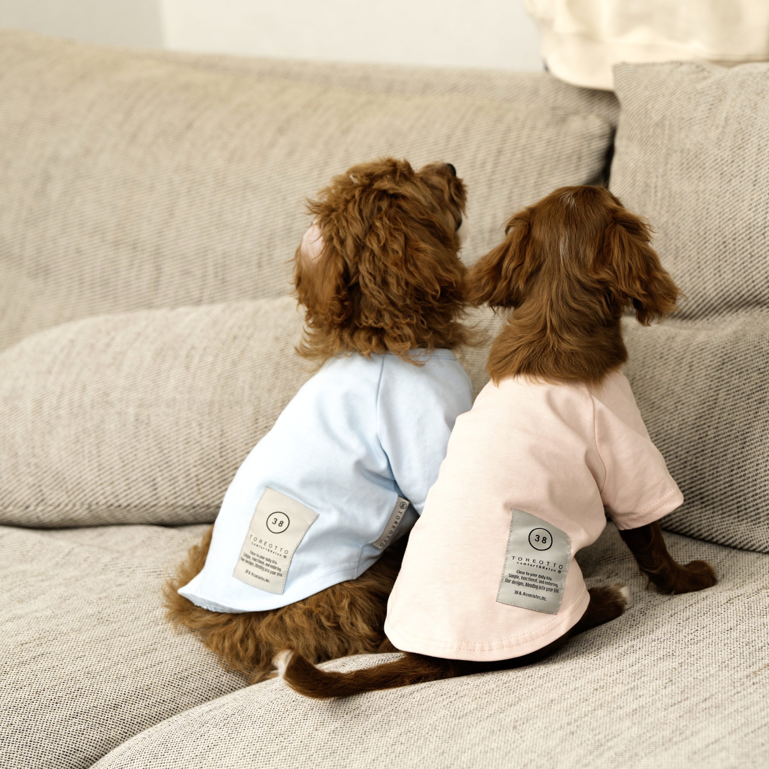 スポンサー出展者様ご紹介 | FIELDSTYLE