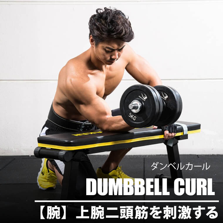 BODYMAKERマッスルトレーナー3 / 格闘技用品店ファイターズスピリッツ