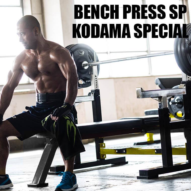 BODYMAKERプレスベンチSP / 格闘技用品店ファイターズスピリッツ