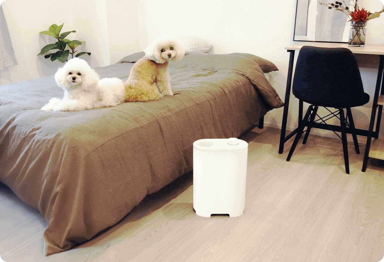 ペット用消臭アロマディフューザー「SEAROMA」