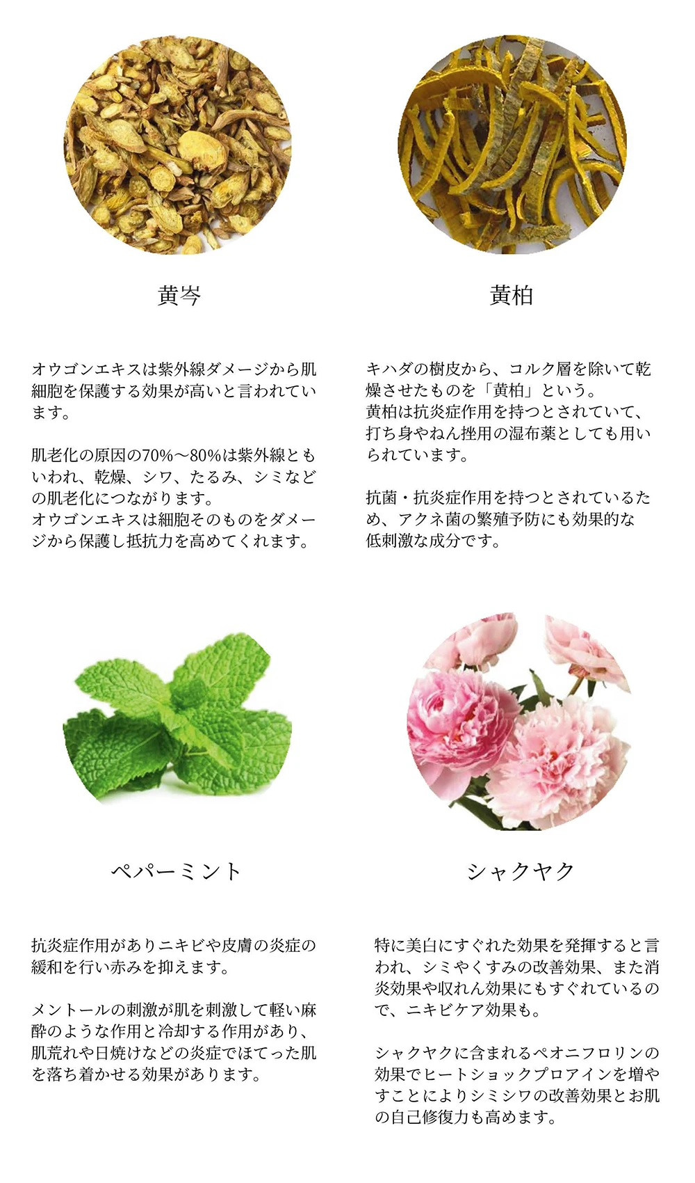 ララショット | 業務用美容・エステ機器の卸・仕入通販は【ミヤタッチ】