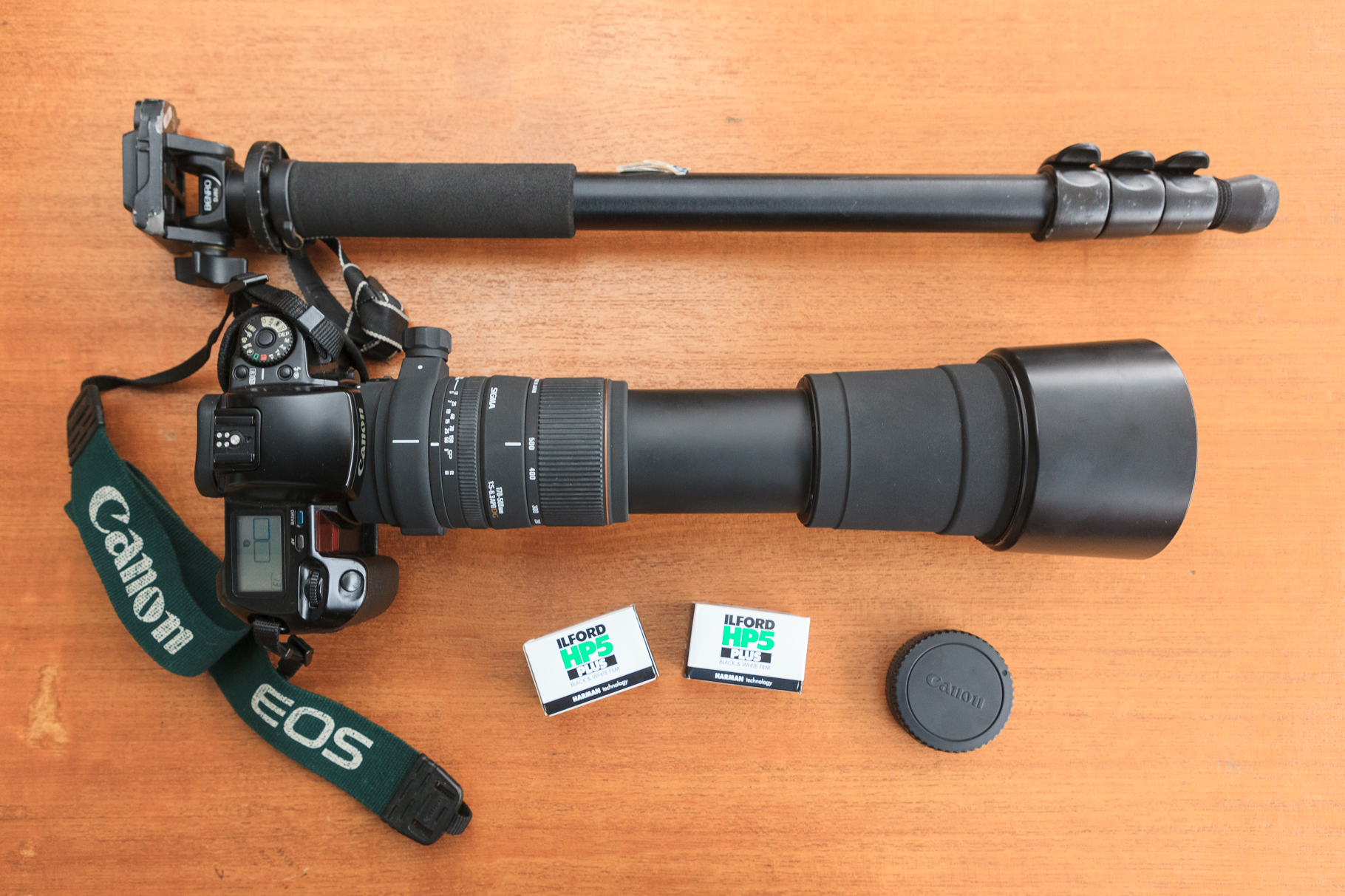 レンズ(ズーム) SIGMA AF 170-500mmF5-6.3D APO Amazon | SIGMA シグマ