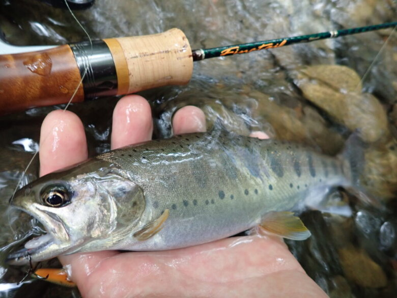 メジャークラフト 新ファインテールストリームモデルを徹底インプレ