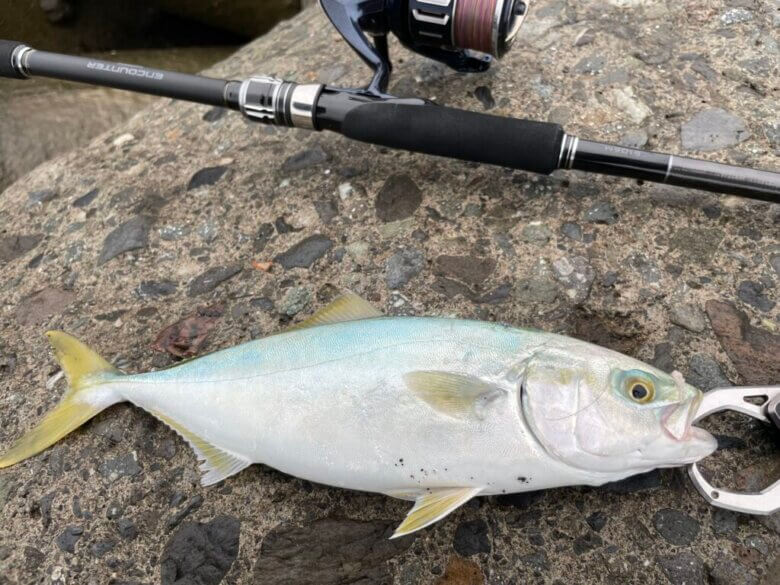 シマノ エンカウンターS106Mを徹底インプレ！【コスパ良好・超オール