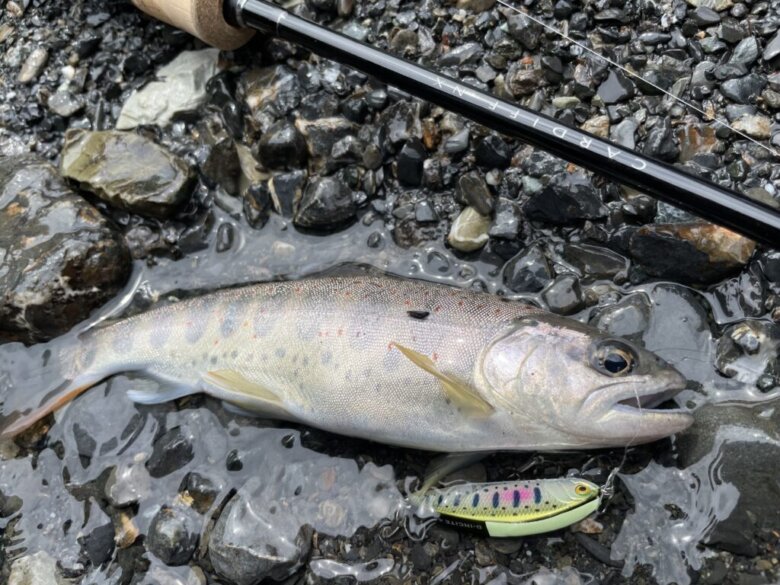 シマノ21カーディフNXを徹底インプレ！S48UL-4を渓流トラウトにて使用