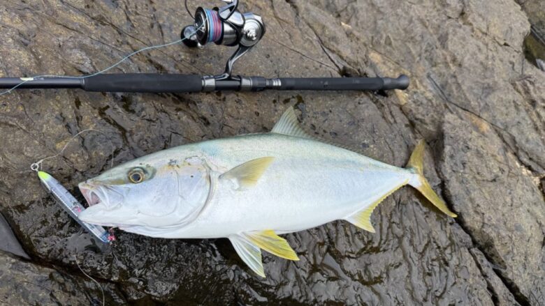 至高の使用感】シマノ25コルトスナイパーエクスチューンを徹底インプレ