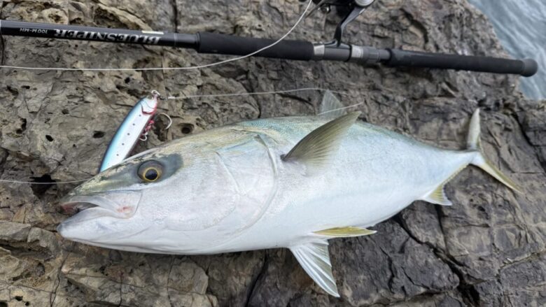 絶妙な反発感】ヤマガブランクス ブルースナイパー100M-MH徹底インプレ