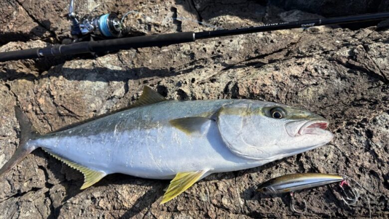 ゼナック ミュートスアキュラ100H Type-R徹底インプレ！ | まるなか