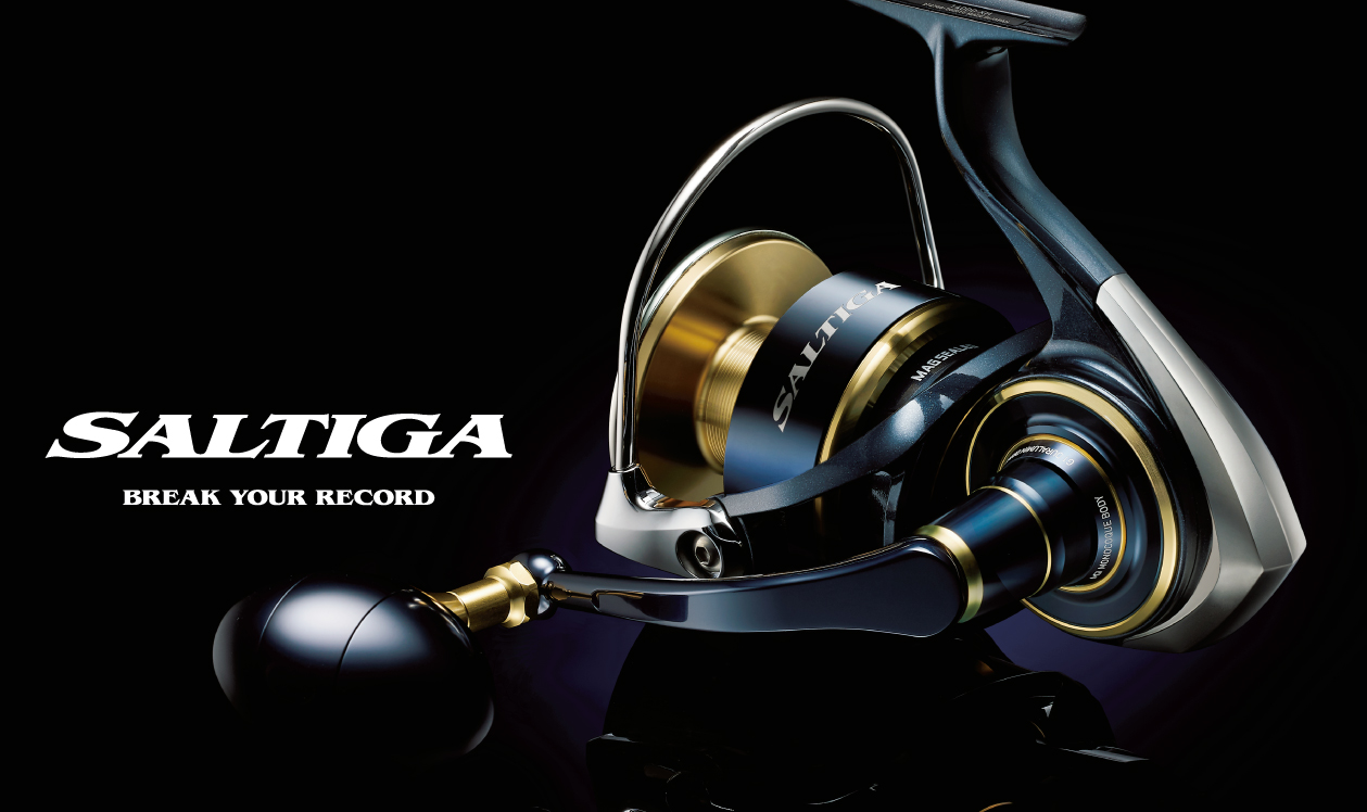 ダイワ 20ソルティガ8000P | 長谷川釣具の通販