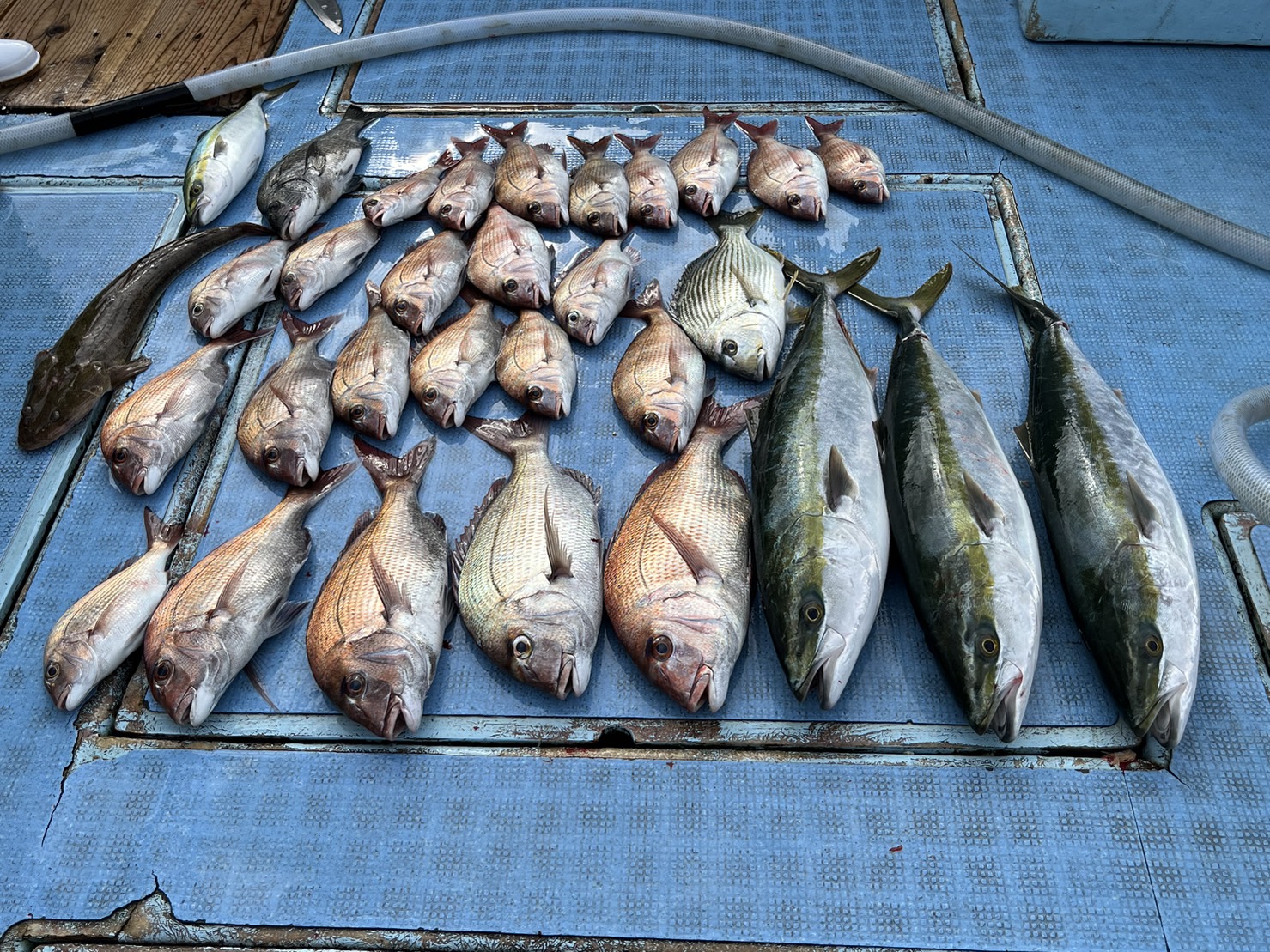 ab9e3a679776383f369ba2879e92e0