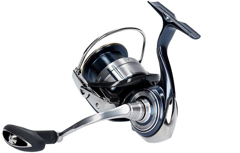 セルテートでショアジギングやシーバスゲームを楽しみたい！人気の