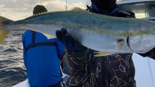 61928b12826d02bcd17b01ec7768b6