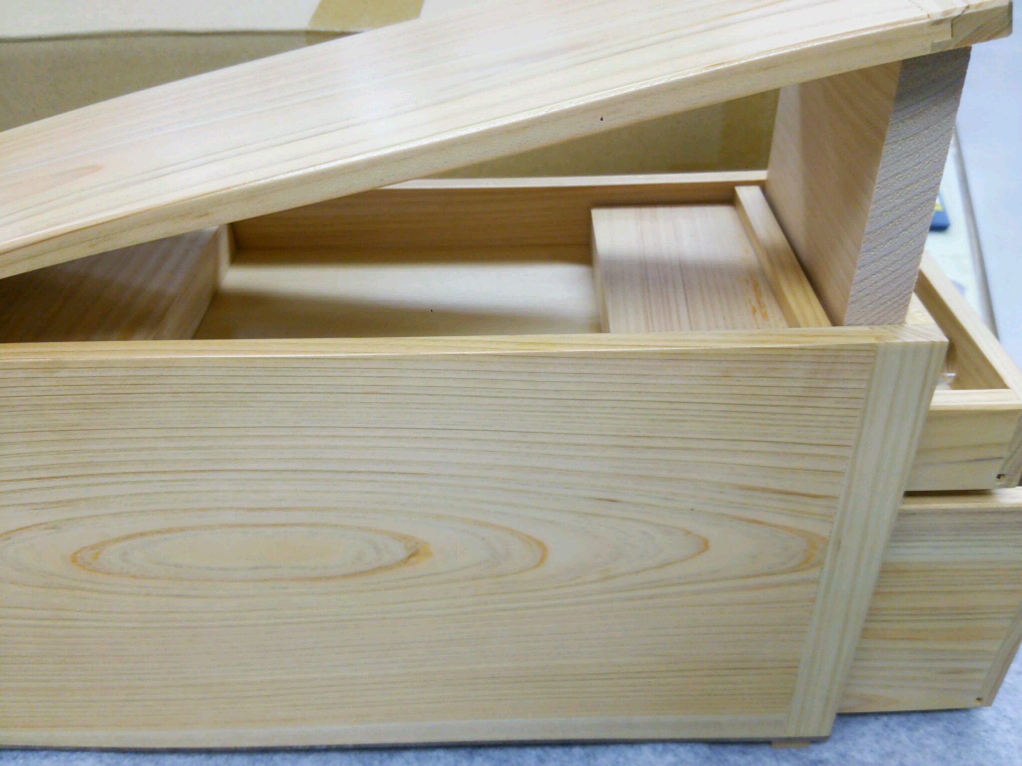 ワカサギ釣り 自作木製収納箱 穂先 レイクマスター電動リール フル