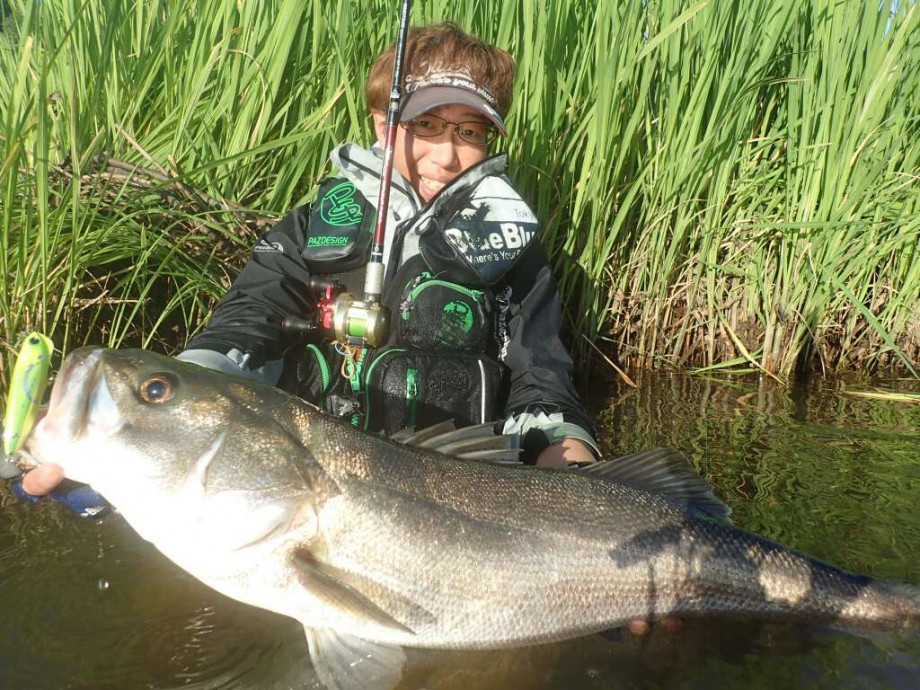 フィッシュマン リプラウト7.8MLにおすすめのリール - Fishman