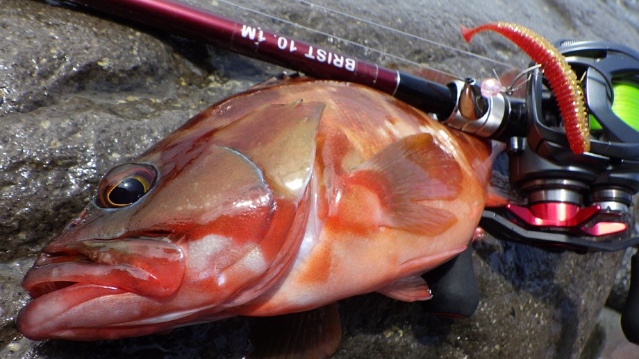 10ftのベンダバールのミッションは2つ。それは… - Fishman