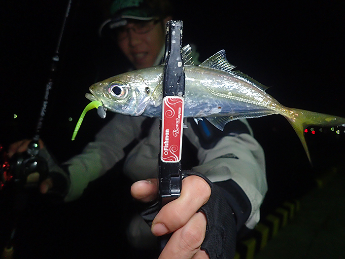 ベイトロッドでアンダー1グラムからキャスト可能。さらに感度ビンビン