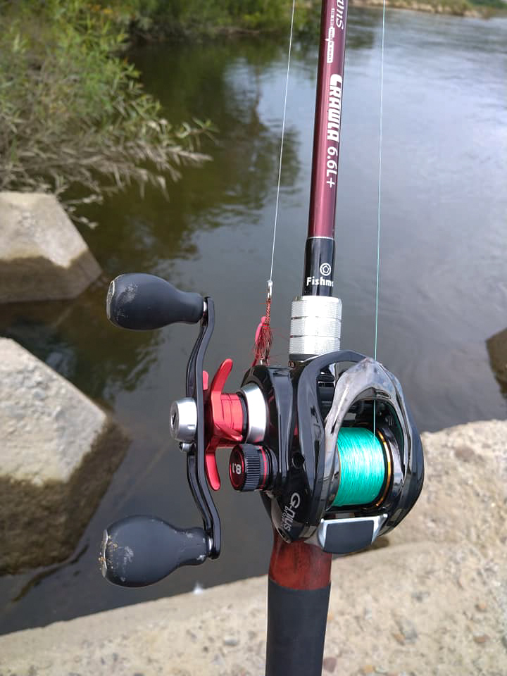 ライトバーサタイルロッド、Beams CRAWLA6.6L+ - Fishman（フィッシュ