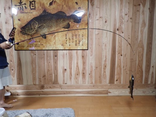 予約受付中！BRIST comodo 7.5H開発秘話 後編 - Fishman（フィッシュマン）