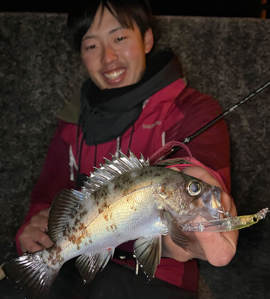 ライトゲームならBeams inte 7.9ULにお任せ！ - Fishman（フィッシュマン）