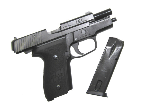 タナカワークス: モデルガン本体 SIG P228 EVO2 フレームHWの通販情報