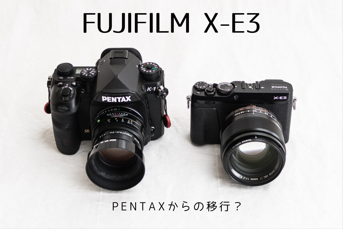 ペンタ党で一眼レフ派の私が富士フィルムのレンタルサービスを利用して