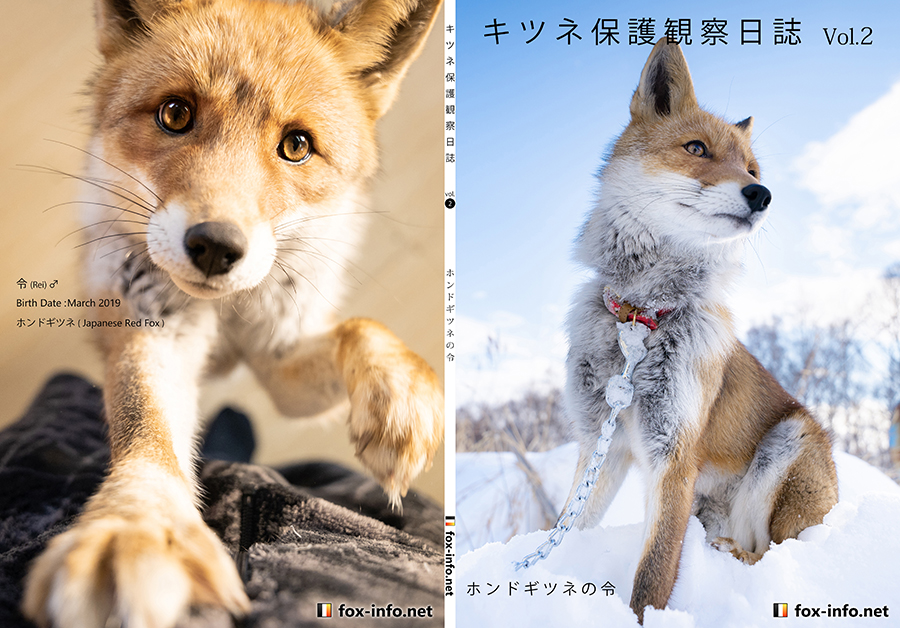 キツネ写真集「キツネ保護観察日誌」 Vol.2 -ホンドギツネの令