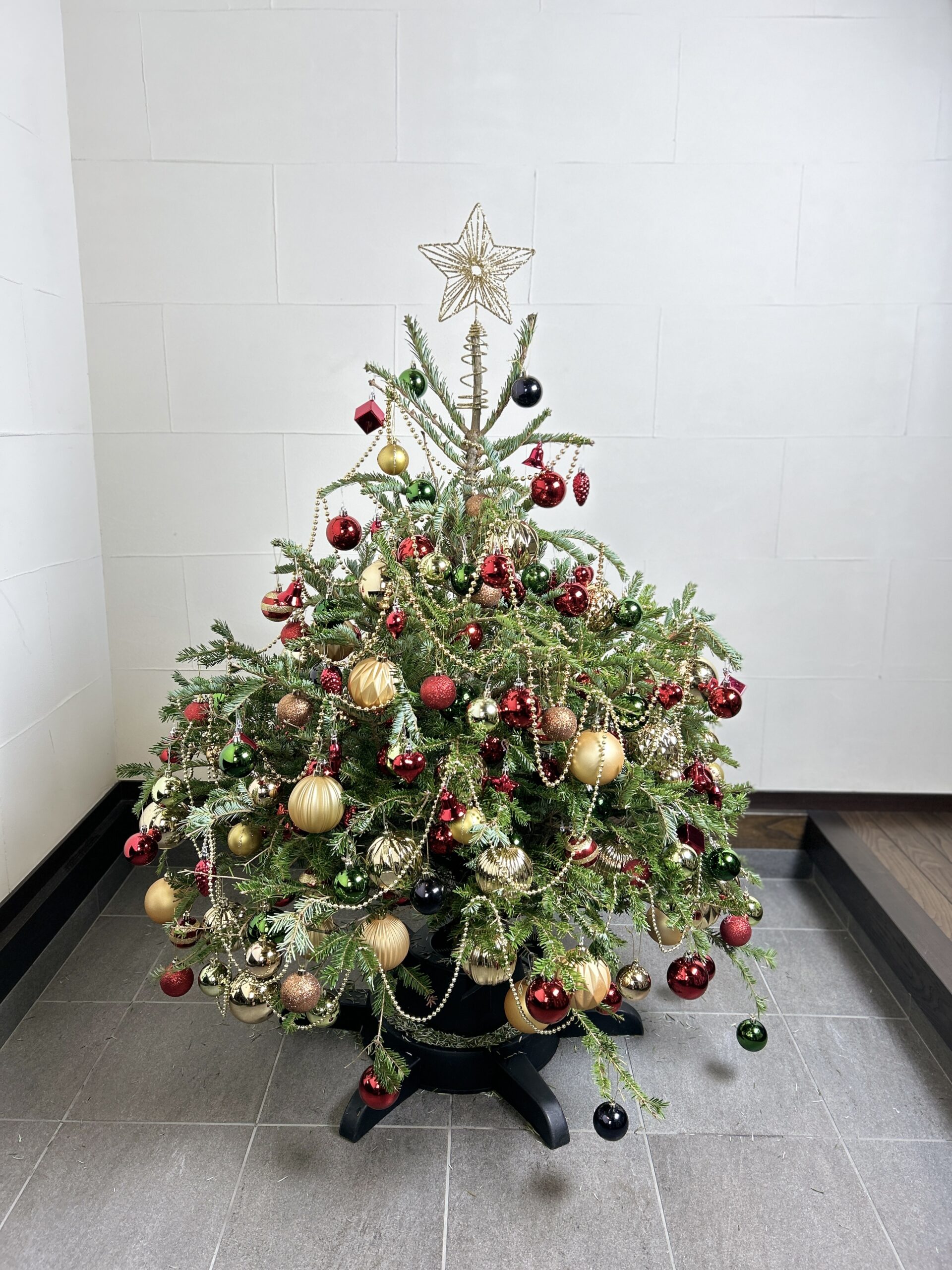 イケアのモミの木でクリスマスツリー 【2023】 | お花選びのコンシェルジュ