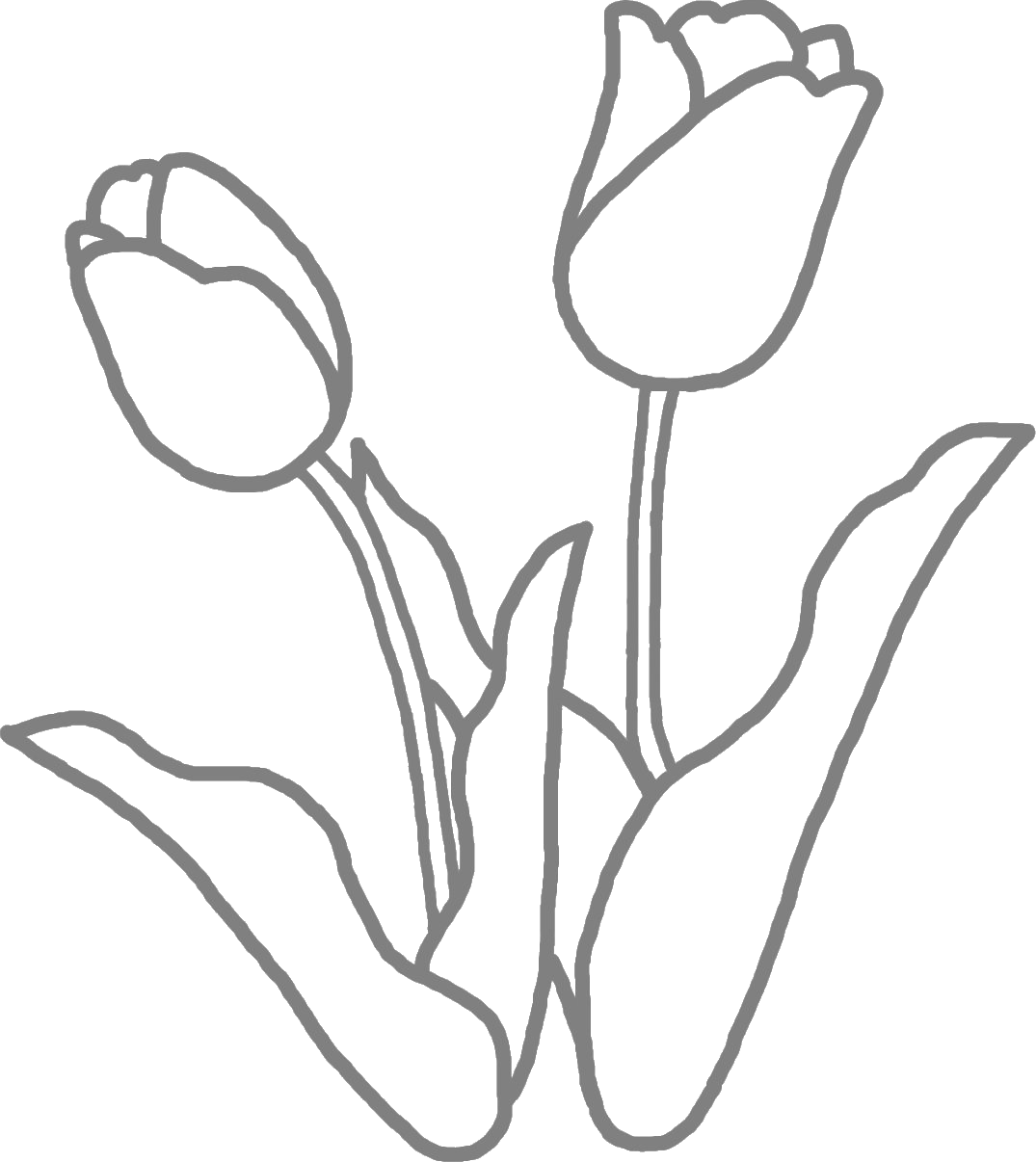 チューリップの画像・イラスト・フリー素材／No.046『チューリップ・白黒』