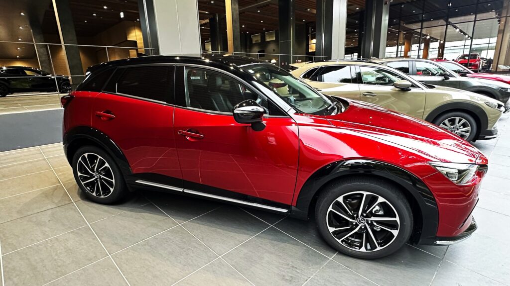 CX-3 Vivid Monotoneをじっくり観察 - SIDE_FLIP blog