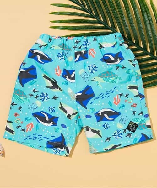 ☆SALE☆わくわくビーチショーツ_水着（J376025）|BREEZE（ブリーズ