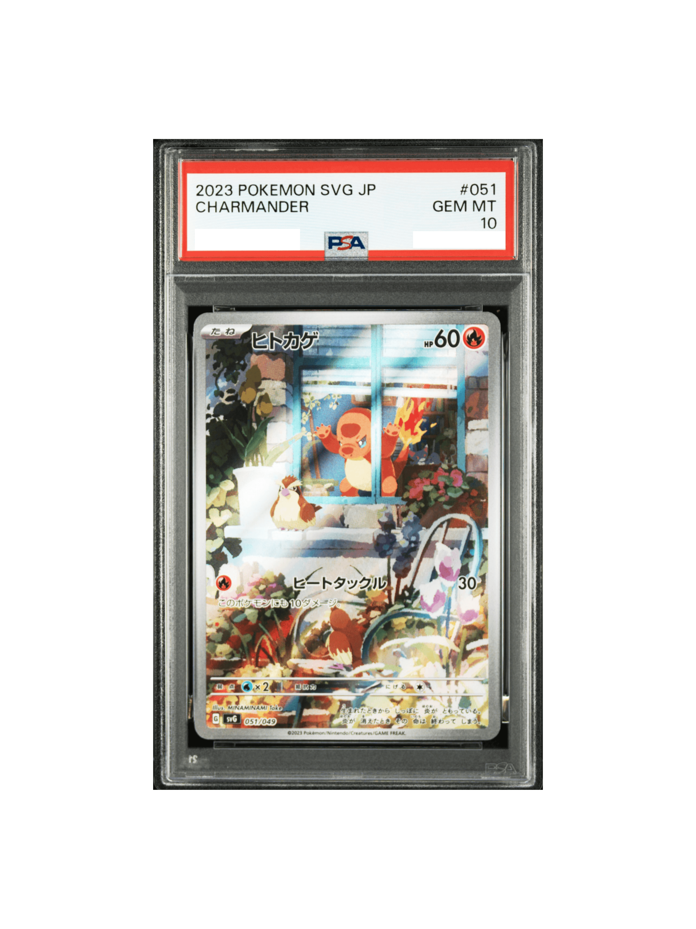 PSA10 マグマ団のグラードンEX RR :1ED [CP1 015/034] - PSA10