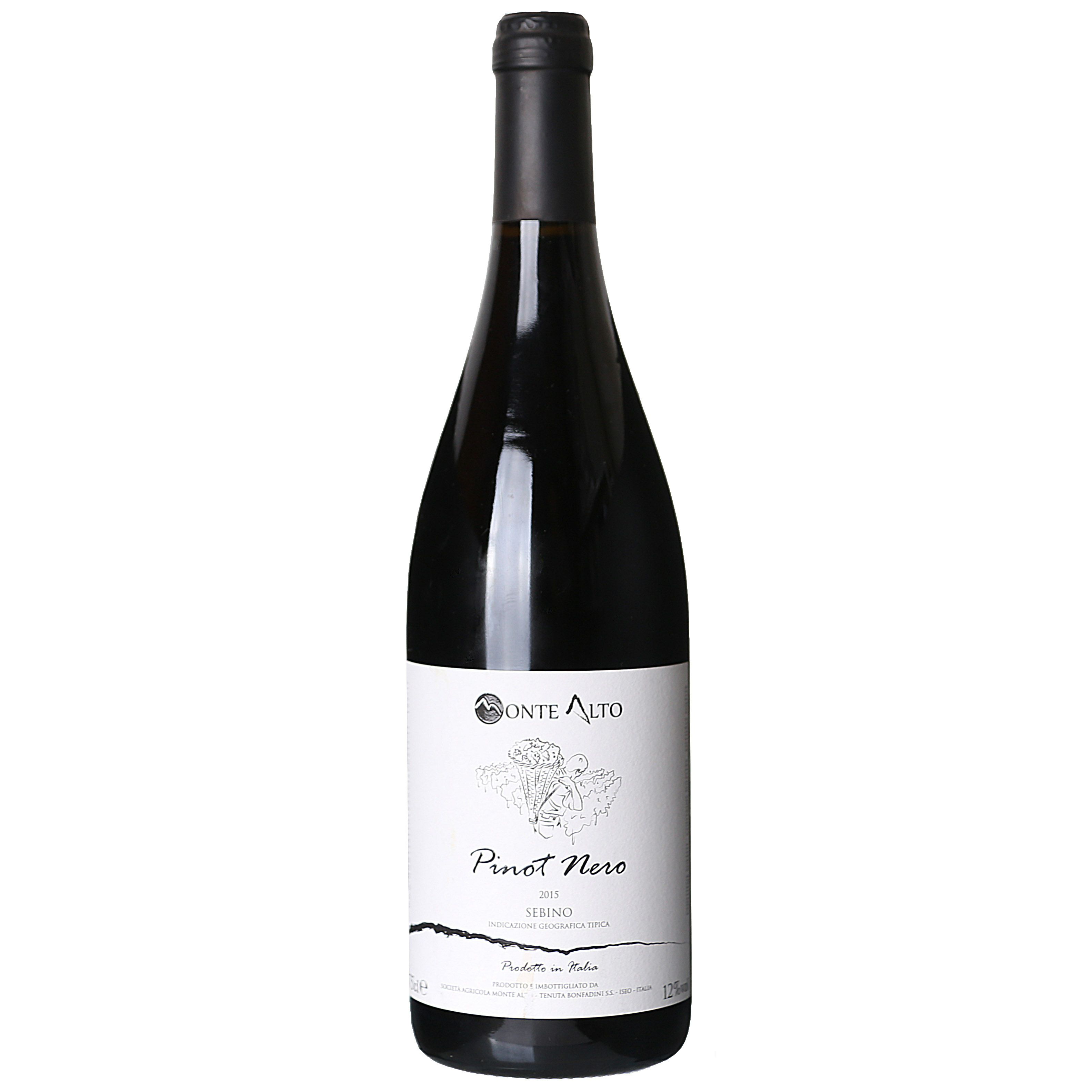 モンテ アルト ロッソ セビーノ “ピノ ネーロ” 2015 (750ml) [赤