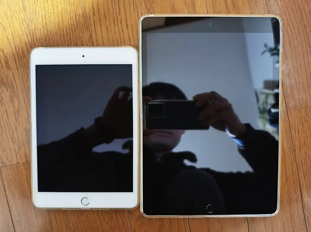 iPad mini (第5世代) 本体 iPad mini 5 Wi-Fi 64GB - スペースグレイ