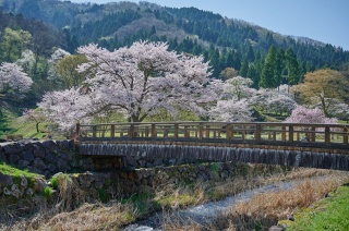 一乗谷朝倉氏遺跡｜スポット・体験｜福いろ|福井市公式観光サイト 名所