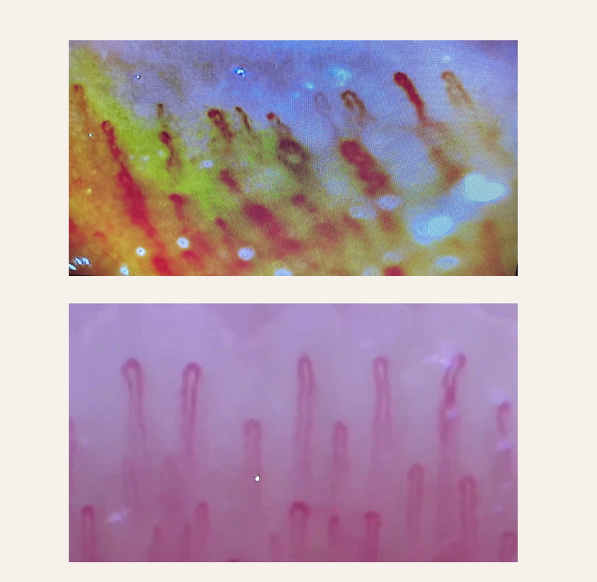 eROD マイナスイオン・オゾン発生器 - ホリスティックサロン イリス