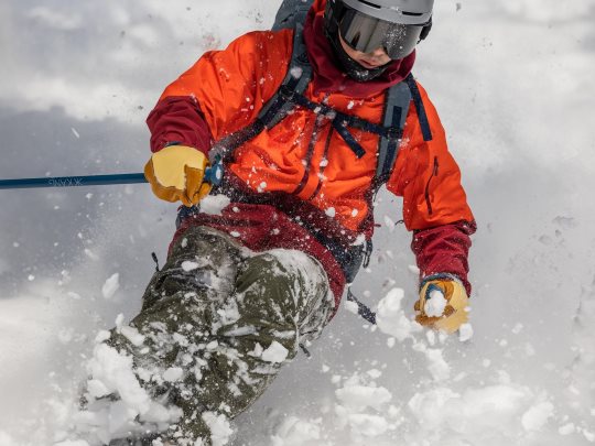 33872 TOPO 3-FINGER 』 | FULLMARKS