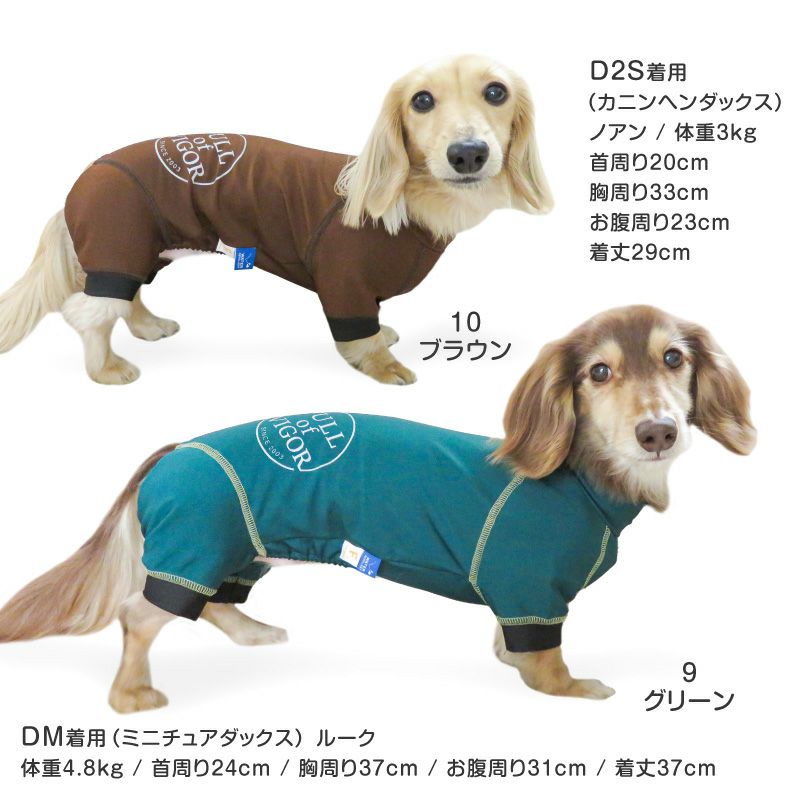 伸びて 着せやすい ドッグプレイ(R) サークル プリント 撥水 レイン