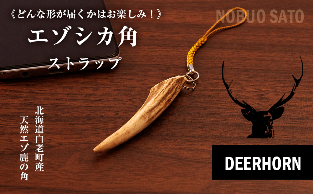 どんな形が届くかはお楽しみ！》 エゾシカ角ストラップ （角） BO007