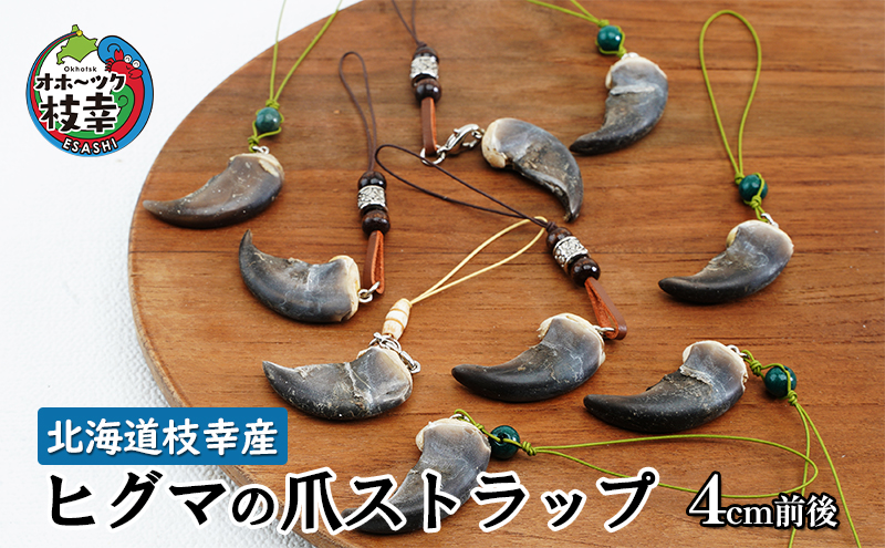 北海道枝幸産 ヒグマの爪ストラップ 4cm前後 くま 熊 ヒグマ 羆 アクセ